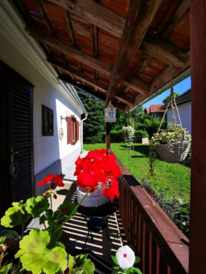 Őrség Kincse Kis Apartman - 4 főre